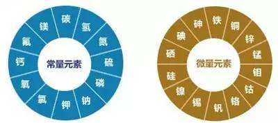 成都白癜风哪个医院好